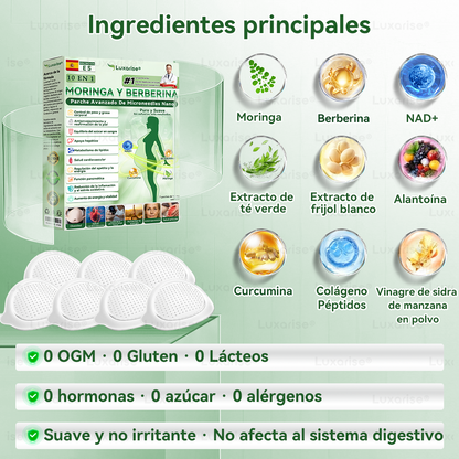 𝑳𝒖𝒙𝒂𝒓𝒊𝒔𝒆®  🌵 Moringa & Berberina 10 en 1 Parche Avanzado de Microagujas Nano (Uso diario, cambios visibles en 7 días) 👩‍⚕️ Obesidad, Diabetes, Apnea del Sueño y Problemas Articulares